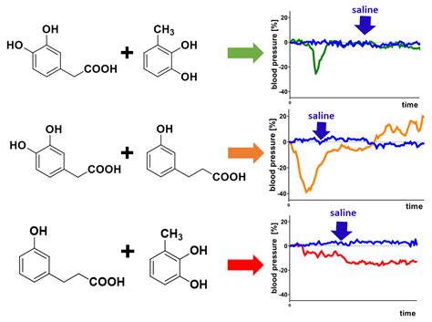 A Mixture of Phenolic Metabolites of Quercetin Can Decrease Elevated ...