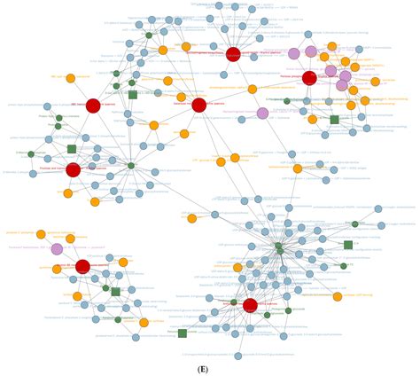 Comparative Evaluation of Inulin and High-Ester Pectin for ...