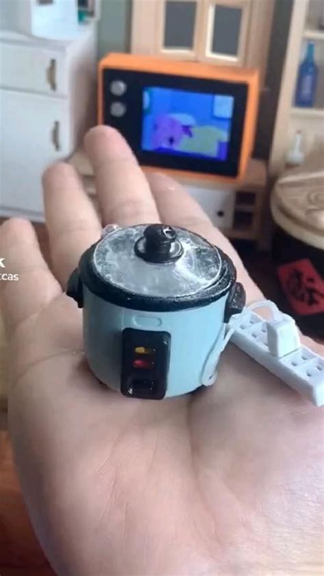 Image result for Miniature Food Cooking