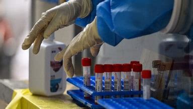 Covid s XBB 1 5 variant cases rise to 7 in India: INSACOG - India Hindi ...