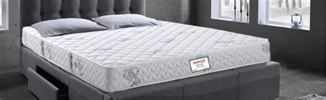 Repose-eyelidz Mattress 75" X 60" X 6" Pocketed Spring Queen, Sky White ...