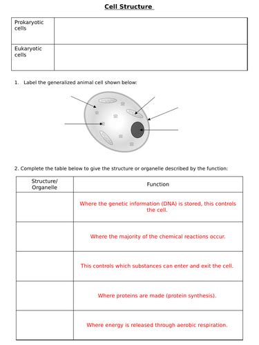 Cell Structure GCSE 的图像结果