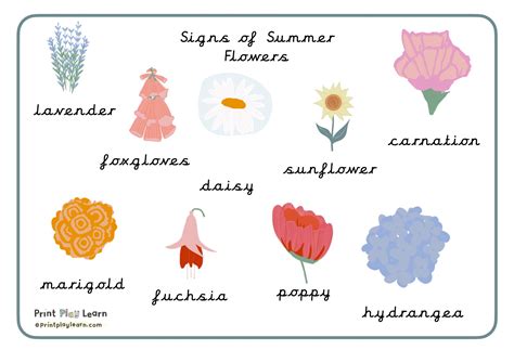 Summer Flower Finds - word mat cursive font - Printable Teaching ...