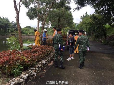中国女游客在泰老虎园失踪 两百人连夜搜寻未果_手机新浪网