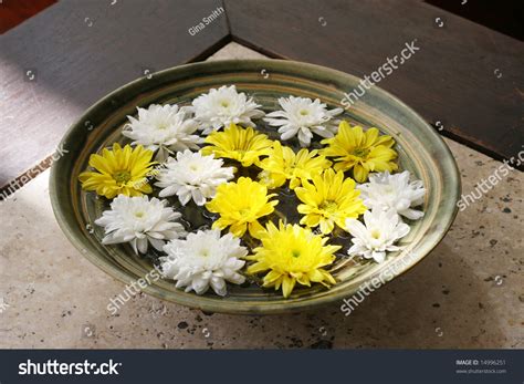 White Yellow Flowers Floating Water Stock Photo 14996251 - Shutterstock