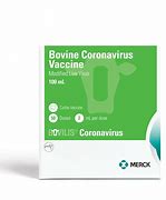 Image result for bovilis® coronavirus for beef cattle