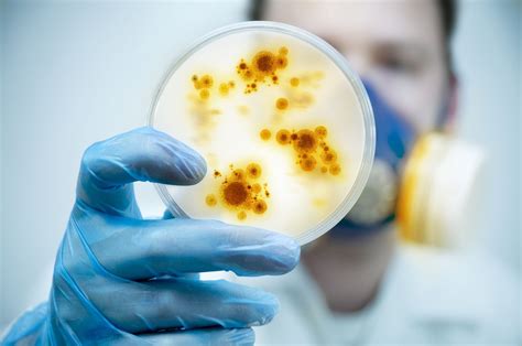 Image result for Pathogen Explanation