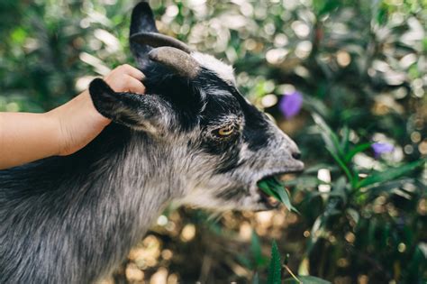 Humour Wallpapers 的图像结果