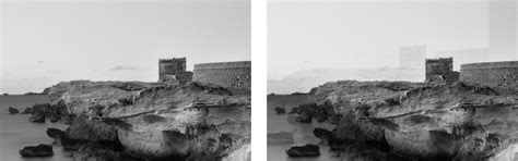 Scanning and copying | HP® Support