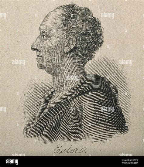 Image result for Euler Number