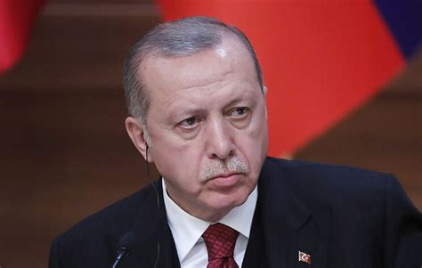 埃尔多安：期待下周与普京和特朗普会谈|土耳其|埃尔多安|普京_新浪新闻