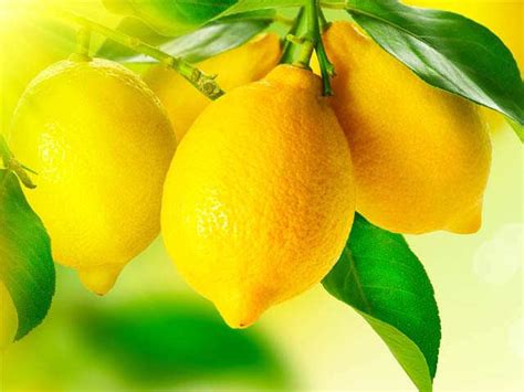 Foods to combat acid reflux | Femina.in