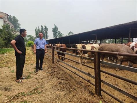 动物科学学院肉牛产业团队到松桃县开展健康养殖技术指导