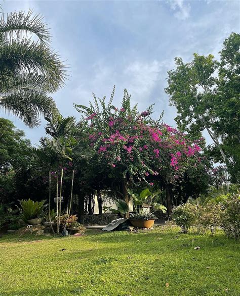 SHERCON RESORT AND ECOLOGY PARK (Mataas Na Kahoy, Batangas) - Specialty ...