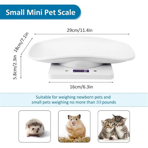 Buy Digital Pet Scale, Small Animal Scale with LCD Display ...