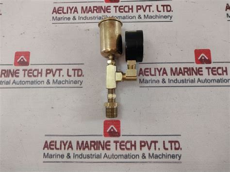 Accutek Pg-100 Sd 2 Pressure Gauge 0-100 Psi – Aeliya Marine Tech®