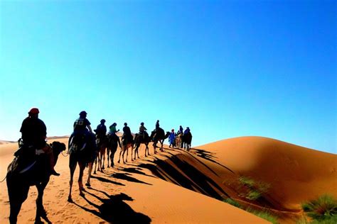 BEST HOLIDAY MOROCCO (2026) All You Need to Know BEFORE You Go (with ...