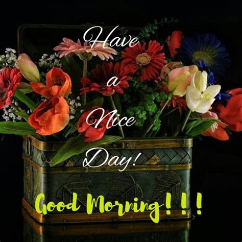 Good Morning Have a Nice Day Images with Flowers: A Fresh Start to Your Day