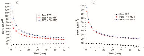 Treatment of Effluents from the Textile Industry through ...