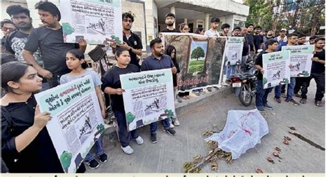 The agency cut down 536 trees | એજન્સીએ 536 વૃક્ષ કાપી નાખ્યા ...