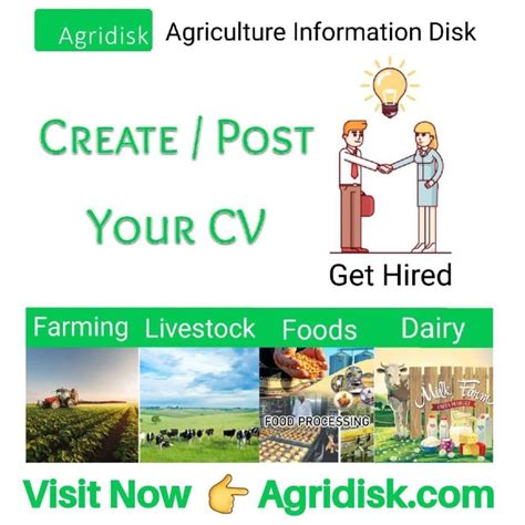 Commercial Farming: Definition, Types, Equipment & Examples | 2025