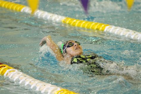 HS Senior Swim 的图像结果