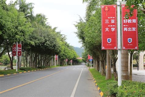 上海外国语大学三亚附属中学计划于2020年9月开学招生_建设