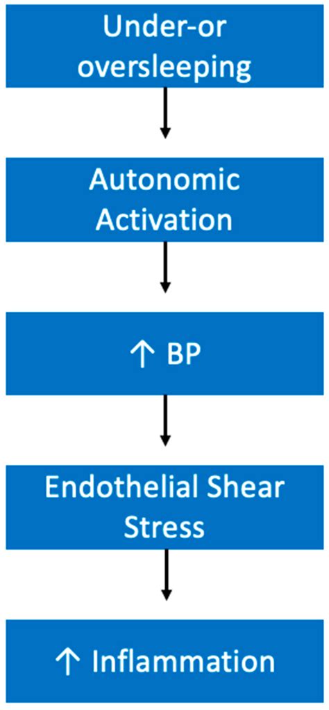 Healthy Sleep Every Day Keeps the Doctor Away
