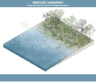 Nestled Harmony : Experience the world of winged wonders | CEPT - Portfolio