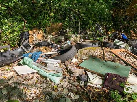 WPL 2026 Player Auction: Full list of retained players of MI, RCB, DC ...