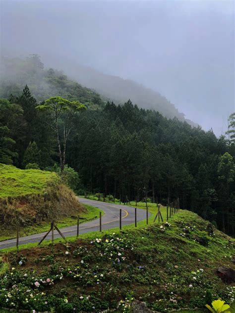 369 Hz Frequency Benefits - EZ Manifesting