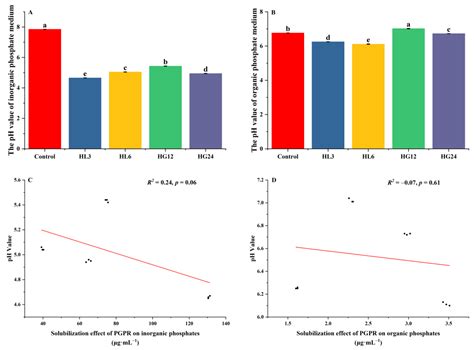 Comparative Analysis of Plant Growth-Promoting Rhizobacteria’s Effects ...