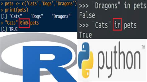 Image result for Python R Training
