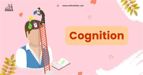 Cognition 的图像结果