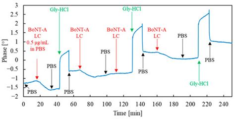 Surface Acoustic Wave Immunosensor for Detection of Botulinum Neurotoxin