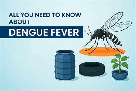 Dengue Fever Causes Symptoms And Prevention