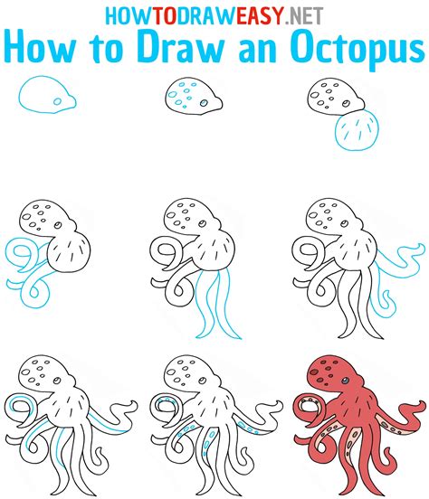 How To Draw A Realistic Octopus For Kids