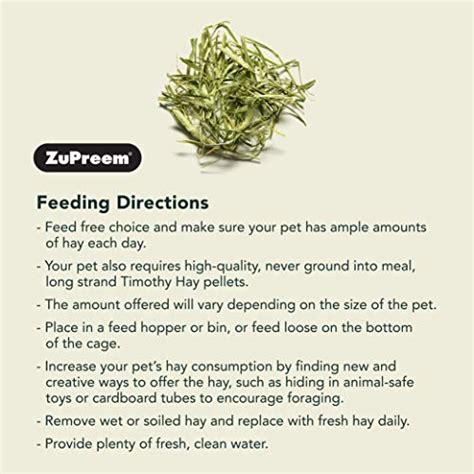 Buy Zupreem Timothy Naturals Premium Timothy Hay for Small Animals ...