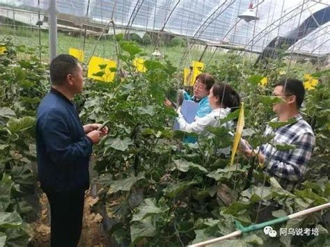 农业技术指导员 - 荣誉资质 - 云南会泽县国权种植有限责任公司