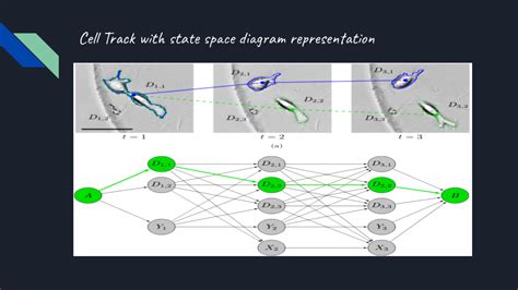 Image result for Cell Gradient Tracking