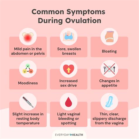 Bleeding During Ovulation