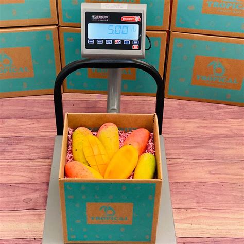 Mango Box 的图像结果