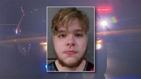 Man, 19, arrested after allegedly sexually assaulting woman who fell ...