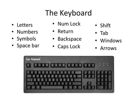 Image result for Basic Computer Skils In