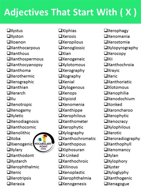 Adjectives That Begin With X - Vocabulary Point