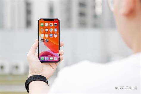 iPhone 的图像结果