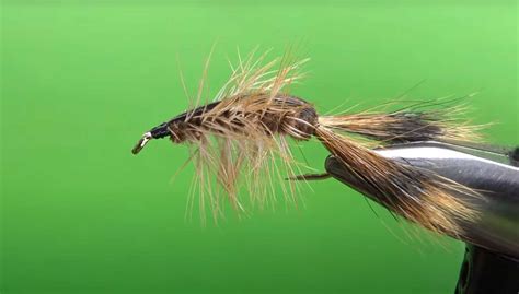 Image result for Simple Crayfish Pattern