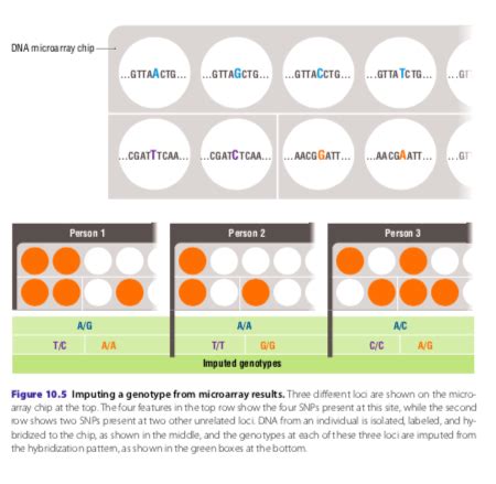 Gwas Microarray 的图像结果