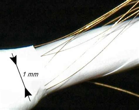 Indra - JungleKey.in Image #250