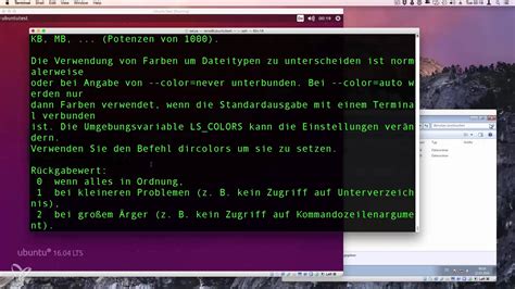 Option Linux 的图像结果